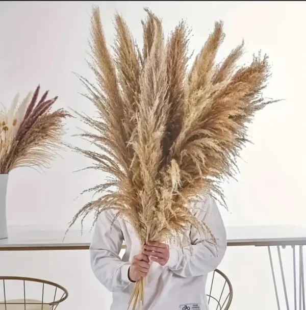 Natural Dried Pampas Grass Bouquet - Image 3